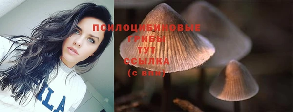 ГАЛЛЮЦИНОГЕННЫЕ ГРИБЫ Осинники