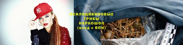 ГАЛЛЮЦИНОГЕННЫЕ ГРИБЫ Осинники