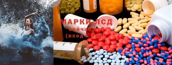 ГАЛЛЮЦИНОГЕННЫЕ ГРИБЫ Осинники