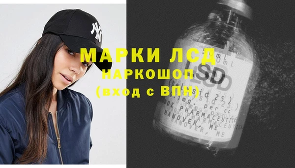 ГАЛЛЮЦИНОГЕННЫЕ ГРИБЫ Осинники