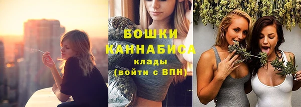 ГАЛЛЮЦИНОГЕННЫЕ ГРИБЫ Осинники