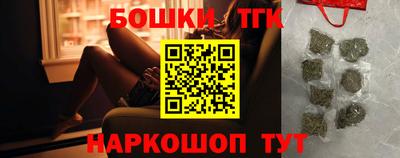 молекула духа Камышлов