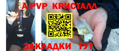 молекула духа Камышлов